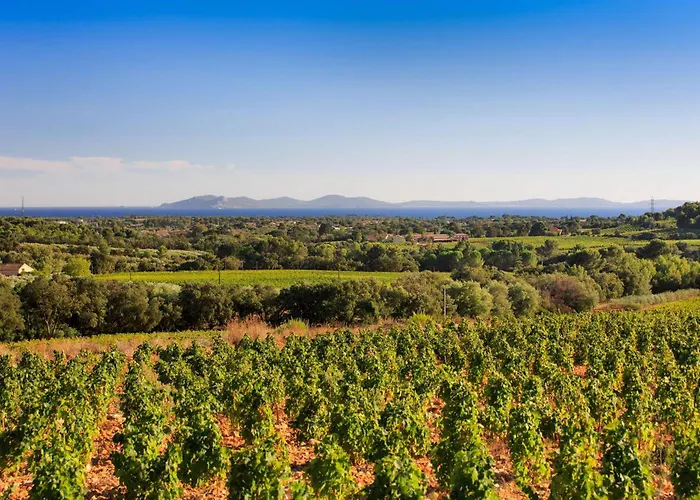 Вилла Mazet Olbia Climatise Pour 4 Personnes, Avec Piscine Collective A La Londe-les-maures *